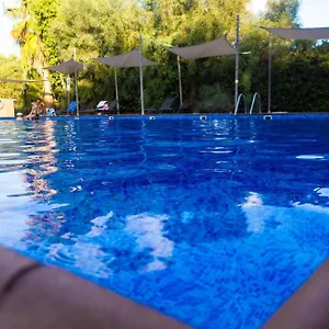 Apartament Nissi Elena -sunshine